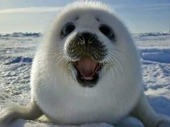 -青岛富力艾美酒店