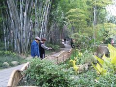 DVC00014-望江楼公园