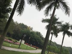 -南宁南湖公园