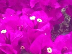 iphone_upload_pic-新竹里馆·花园餐厅(兴苑路店)