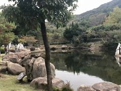 -白马涧龙池景区