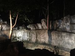 -清迈夜间动物园