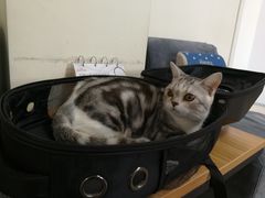 -美联众合动物医院·24h京西诊疗中心