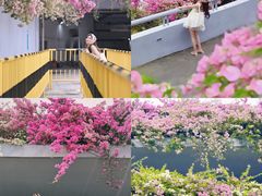 -深圳市中科院仙湖植物园