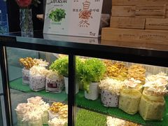 -烹然四季椰子鸡火锅(团结湖总店)