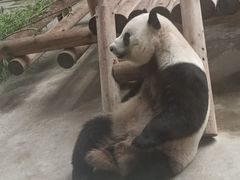 -西安秦岭野生动物园