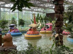 -南宫五洲植物乐园