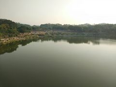 -东莞植物园
