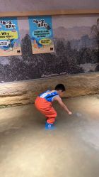 -造物庄园 萌宠纪(苏州湾歌林公园店)