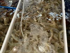 -南沙十九涌渔人码头-南门