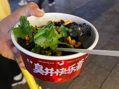 -黑色经典臭豆腐·湖南特产(坡子街店)