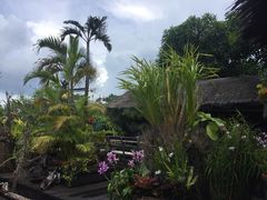 -自然餐厅(Phuket)