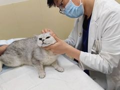 -美联众合动物医院·24h转诊中心