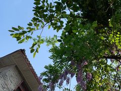 -四川大学(华西校区)