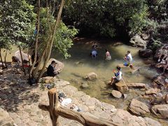 -广州白江湖森林公园