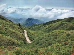 -大围山国家森林公园