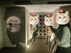 -穹六人间 people 6(岳阳路店)