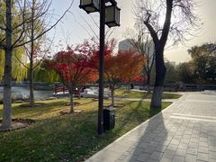 -西海子公园