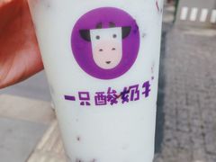 -一只酸奶牛(八一路店)