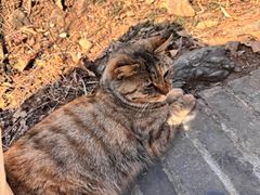 -红螺寺