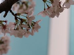 -西北湖绿化广场