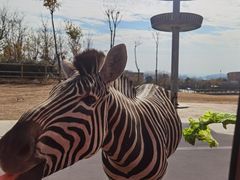 -南京金牛湖风景区