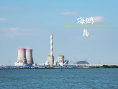 -海鸥岛