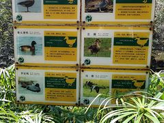 -昆明动物园