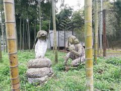 -天下银坑
