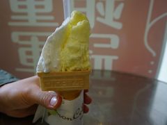 -柠檬车露(卖草地店)