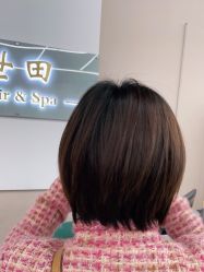 -世田造型