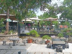 -蘇河湾·新鲁菜·泰山宴(泰山店)