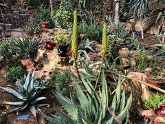 -国家植物园南园