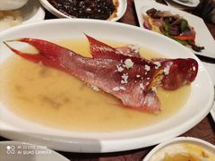 -东方明珠老上海8号餐厅