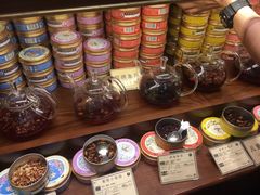 -布兰兔的植物庄园(杭州南宋御街店)