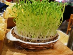 -好彩猪肚鸡(正弘城店)