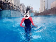 -嘉佑温泉水世界