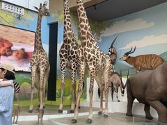 -陕西自然博物馆