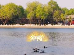 -烟袋斜街