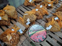 -库肯霍夫公园
