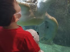 -福州罗源湾海洋世界旅游区