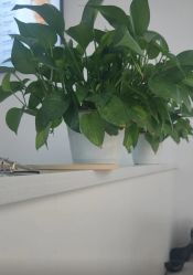 -SOR索尔祛痘·面部肌肤科学管理