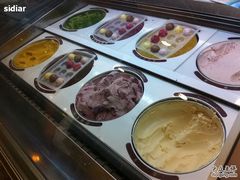 雪糕冰柜-哈根达斯(天河城店)