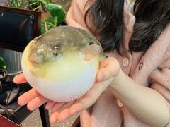 -永安鱼庄·镇江菜(东吴路店)