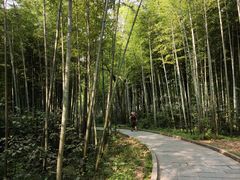 -青龙山国家森林公园
