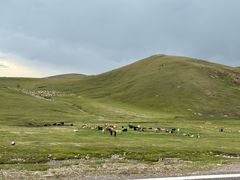 -新疆那拉提国家旅游度假区