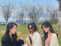 -太湖湖滨国家湿地公园-停车场