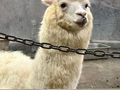 -上海大自然野生昆虫馆(东方明珠·爬宠昆虫探索中心)