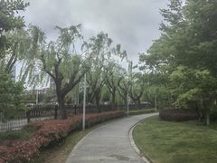 -嘉定紫藤园