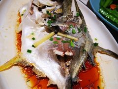 清蒸白鲳鱼-香香海南菜餐厅